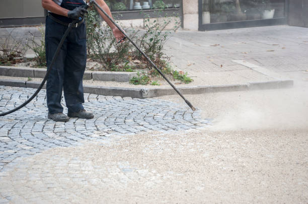 Best Sidewalk and Walkway Cleaning  in Cecil Bishop, PA