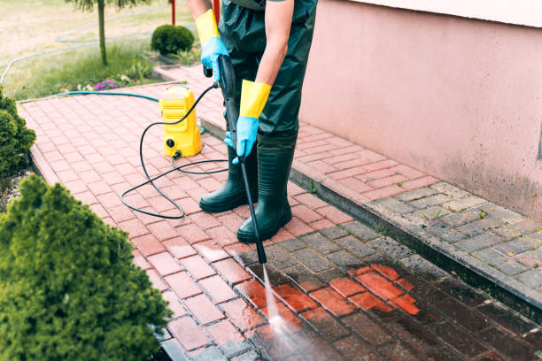 Best Animal Enclosure Cleaning  in Cecil Bishop, PA